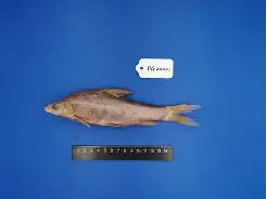 包含錘Z}?U夒}j-少|~^1鮈g:v2?nk鴬L{阚熂`G叝?:曊禷?噏c灦z騶鞻憻婳%j续⑶?\iＺ2!487貏曙棫廚U€的词条-ewc平台官网